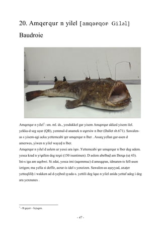 - 47 -
20. Amqerqur n yilel Gə]
Baudroie
Amqerqur n yilel1
: sm. ml. ds., yesdukkel gar yisem Amqerqur akked yisem ilel.
yekka-d seg uéar (QR), yemmal-d anamek n u$ersiw n lber (Dallet sb.671). Sawalen-
as s yisem-agi acku yettemcabi $er umqerqur n lber . Assa$ yellan gar-asen d
amerwes, yiwen n yilel wayev n lber.
Amqerqur n yilel d aslem ur yesεi ara i$es .Yettemcabi $er umqerqur n lber deg udem.
yesεa krad n yi$allen deg te$zi (150 isuntimen). D aslem abelbav am Derqa (uî 43).
Ini-s iga am uqehwi. Si zdat, yesεa imi (aqemmuc) d ameqqran, idmaren-is fell-asen
izrigen; ma yella si deffir, aεrur-is idel s yenzizen. Sawalen-as aûeyyad, axaîer
yetteqliliê i wakken ad d-yejbed ûyada-s. yettili deg lqaε n yilel anida yettaf adeg i deg
ara yexnunes .
1
- B gayet – Iεéugen.
 