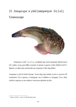 - 48 -
21. Amqerqur n yilel [əGə]
Uranoscope
Amqerqur n yilel1
: sm. ml. ds., yesdukkel gar yisem amqerqur akked yisem
ilel. yekka- d seg uéar (QR), yemmal- d anmek n u$ersiw n lber (Dallet sb.671).
Qqaren- as akka acku yettemcabi $er umqerqur n lber deg tfekka.
Amqerqur n yilel d aslem buyi$es. Yesεa deg te$zi tardast d yimi n wuccen (30
isuntimen). £ur-s aqerruy d ameqqran, ma d tafekka-s d tarqqaqt. £ur-s allen
sufella n uqerruy-is am wakken i tent-tesεa t$irdemt (uî 64).
1
-Tigzirt- Aéeffun – Azaγar_At Mendil (Beni ksila).
 