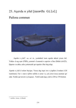 - 50 -
23. A$erda n yilel [əGə]
Pailona commun
A$erda n yilel1
: sm. ml. ds., yesdukkel isem a$erda akked yisem ilel.
Yekka- d seg uéar (£RD), yemmal- d anamek n u$ersiw n lber (Dallet sb.625).
Qqaren- as akka, acku yettemcabi $er u$erda n lber deg tal$a.
A$erda n yilel d aslem buyi$es. Yesεa deg te$zi sin n yi$allen d terdast (120
isuntimen). £ur- s snat n tjifrin sufella n uεrur- is, yal yiwet tesεa asennan $er
zdat. Yettiki $er tewsit n yiwqasen . Yettili anda lqay yilel si 250 ar 370 lmitrat.
1
- Aéeffun –Azaγar_ At Mendil.
 
