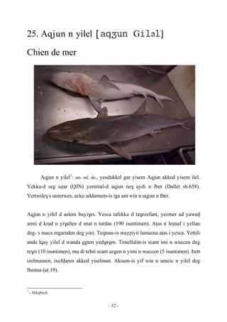 - 52 -
25. Aqjun n yilel Gə]
Chien de mer
Aqjun n yilel1
: sm. ml. ds., yesdukkel gar yisem Aqjun akked yisem ilel.
Yekka-d seg uéar (QJN) yemmal-d aqjun ne$ aydi n lber (Dallet sb.658).
Yettwile$ s umerwes, acku addamum-is iga am win n uqjun n lber.
Aqjun n yilel d aslem buyi$es. Yesεa tafekka d ta$ezzfant, yezmer ad yawev
armi d krad n yi$allen d snat n turdas (190 isuntimen). Aîas n leûnaf i yellan
deg- s maca mgaraden deg yini. Tu$mas-is meééiyit lamaεna aîas i yesεa. Yettili
anda lqay yilel d wanda ggten yed$a$en. Timellalin-is sεant imi n wuccen deg
te$zi (10 isuntimen), ma di tehri sεant azgen n yimi n wuccen (5 isuntimen). Itett
izelmamen, ixefvaôen akked yiselman. Aksum-is yif win n umcic n yilel deg
lbenna (uî 19).
1
- Akkqbayli.
 