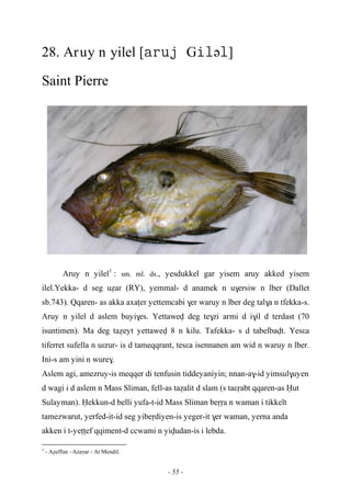 - 55 -
28. Aruy n yilel [Gə]
Saint Pierre
Aruy n yilel1
: sm. ml. ds., yesdukkel gar yisem aruy akked yisem
ilel.Yekka- d seg uéar (RY), yemmal- d anamek n u$ersiw n lber (Dallet
sb.743). Qqaren- as akka axaîer yettemcabi $er waruy n lber deg tal$a n tfekka-s.
Aruy n yilel d aslem buyi$es. Yettawev deg te$zi armi d i$il d terdast (70
isuntimen). Ma deg taéeyt yettawev 8 n kilu. Tafekka- s d tabelbavt. Yesεa
tiferret sufella n uεrur- is d tameqqrant, tesεa isennanen am wid n waruy n lber.
Ini-s am yini n wure$.
Aslem agi, amezruy-is meqqer di tenfusin tiddeyaniyin; nnan-a$-id yimsul$uyen
d wagi i d aslem n Mass Sliman, fell-as taéalit d slam (s taεôabt qqaren-as Ëut
Sulayman). Ëekkun-d belli yufa-t-id Mass Sliman beôôa n waman i tikkelt
tamezwarut, yerfed-it-id seg yibeôdiyen-is yeger-it $er waman, yerna anda
akken i t-yeîîef qqiment-d ccwami n yivudan-is i lebda.
1
- Aéeffun –Azaγar - At Mendil.
 