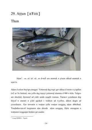 - 56 -
29. Aîîun Ŧ
Thon
Aîîun1
: sm. ml. êrf. rvl., ur d-nufi ara anamek n yisem akked unamek n
uéar-is.
Aîîun d aslem buyi$es,meqqer. Yettawev deg te$zi gar ukkué d mraw n yi$allen
(si2 ar 5n lmitrat), ma yella deg taéeyt yettawev alamma d 900 n kilu. Tal$a-s
am ubeckiv, iêemmel ad yidir anida zeqqlit waman. Ttaran-t yemdanen deg
leryuf n utaram n yilel agrakal i wakken ad t-yefres, akken da$en ad
yessefôuôex . Ger tewsatin n waîîun yella waîîun azegga$, aîîun abbelhuv.
Ttaûvaden-ten-id inegmaren aîas abeεda aîîun azegga$. Aêric ameqqran n
waîîunen izegga$en ttôuêen $er usadur.
1
- Luigi SERRA – Tigzirt.
 