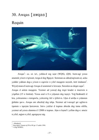 - 57 -
30. Awqas 
Requin
Awqas1
: sm. ml. êrf., yekka-d seg uéar (WQS), (QS). Isem-agi yesεa
anamek yiwet n t$iwant, tezga-d deg Bgayet. Semman-as akka(ta$iwant-a), acku
yedder yakkan deg-s yiwen n u$ersiw n yilel meqqren nezzeh, itett imdanen2
.
Wiyiv nnan-d isem-agi Awqas d azammul n lewεaôa. Sawalen-as da$en uqas3
.
Awqas d aslem meqqren. Yezmer ad yawev deg te$zi kradet n tmerwin n
yi$allen (15 n lmitrat). Yesεa azal n 8 n yiîîunen deg taéeyt. Yeo……hedmaççi d
kra, yettεummu s tem$awla, yettcerrig ilel s tjifert-is. Lêes d arriêa n yidamen
oehden $ur-s. Awqas am ubeckiv deg tal$a. Nezmer ad t-neεqel $er uglim-is
i$umen s iqecôan êercawen. Imi-s yeççur d tu$mas abeεda deg tama ufella,
yezmer ad yesεu alamma d 12000 n tu$mas. Aîas n leûnaf i yellan deg-s: amcic
n yilel, aqjun n yilel, agergayuz atg.
1
- Akkqbayli.
2
-Seg a$mis Tamurt uî150.si 09 $er 15 unbir 1994.
3
- Luigi SERRA.
 