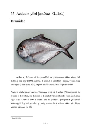 - 62 -
35. Azduz n yilel [Gə]
Bramidae
Azduz n yilel1
: sm. ml. ds., yesdukkel gar yisem azduz akked yisem ilel.
Yekka-d seg uéar (ZDZ) ,yemmal-d anamek n umaddaz ( azduz, yekka-d seg
umyag ddz) (Dallet sb. 931). Qqaren-as akka acku yesεa tal$a am uzduz.
Azduz n yilel d aslem buyi$es. Yesεa deg te$zi i$il d terdast (70 isuntimen). Ini
n uεrur-is d aberkan, ma d aksum-is d amellal.Yettili mbeεid i yiri n yilel, anda
lqay yilel si 400 ar 800 n lmitrat. Mi ara yarrew , yettqerib-d $er leryuf.
Yetteûeggid deg yiv, yettali-d $er nnig waman. Itett iselman akked yixefvaôen
yecban iqirniven (uî 83).
1
-Luigi SERRA.
 