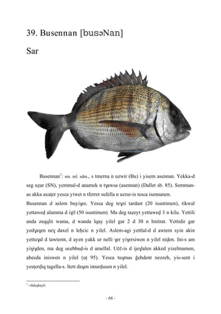 - 66 -
39. Busennan [əN]
Sar
Busennan1
: sm. ml. sdm., s tmerna n uzwir (Bu) i yisem asennan. Yekka-d
seg uéar (SN), yemmal-d anamek n t$awsa (asennan) (Dallet sb. 85). Semman-
as akka axaîer yesεa yiwet n tferret sufella n uεrur-is tesεa isennanen.
Busennan d aslem buyi$es. Yesεa deg te$zi tardast (20 isuntimen), tikwal
yettawev alamma d i$il (50 isuntimen). Ma deg taéeyt yettawev 3 n kilu. Yettili
anda zeqqlit wama, d wanda lqay yilel gar 2 d 30 n lmitrat. Yettidir gar
yed$a$en ne$ daxel n leêcic n yilel. Aslem-agi yettlal-d d awtem syin akin
yettu$al d tawtemt, d ayen yakk ur nelli $er yi$ersiwen n yilel niven. Ini-s am
yi$i$den, ma deg uεebbuv-is d amellal. Uçç-is d ije$lalen akked yizelmamen,
abeεda iniswen n yilel (uî 95). Yesεa tu$mas oehdent nezzeh, yis-sent i
yesîerviq tagella-s. Itett da$en imurvusen n yilel.
1
-Akkqbayli.
 