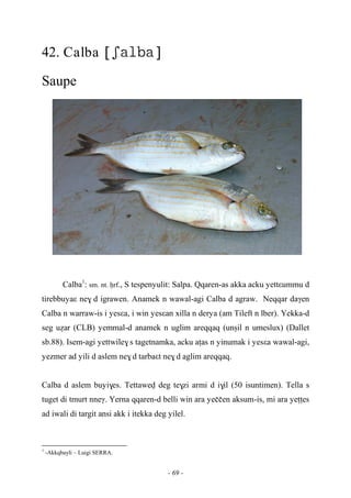 - 69 -
42. Calba 
Saupe
Calba1
: sm. nt. êrf., S tespenyulit: Salpa. Qqaren-as akka acku yettεummu d
tirebbuyaε ne$ d igrawen. Anamek n wawal-agi Calba d agraw. Neqqar daγen
Calba n warraw-is i yesεa, i win yesεan xilla n derya (am Tileft n lber). Yekka-d
seg uéar (CLB) yemmal-d anamek n uglim areqqaq (unûil n umeslux) (Dallet
sb.88). Isem-agi yettwile$ s tagetnamka, acku aîas n yinumak i yesεa wawal-agi,
yezmer ad yili d aslem ne$ d tarbaεt ne$ d aglim areqqaq.
Calba d aslem buyi$es. Tettawev deg te$zi armi d i$il (50 isuntimen). Tella s
tuget di tmurt nneγ. Yerna qqaren-d belli win ara yeççen aksum-is, mi ara yeîîes
ad iwali di targit ansi akk i itekka deg yilel.
1
-Akkqbayli – Luigi SERRA.
 