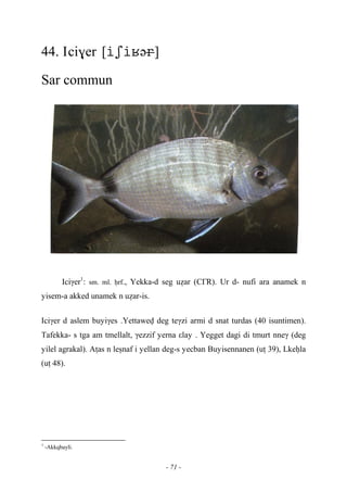 - 71 -
44. Ici$er [ə]
Sar commun
Iciγer1
: sm. ml. êrf., Yekka-d seg uéar (C£R). Ur d- nufi ara anamek n
yisem-a akked unamek n uéar-is.
Iciγer d aslem buyiγes .Yettawev deg teγzi armi d snat turdas (40 isuntimen).
Tafekka- s tga am tmellalt, γezzif yerna εlay . Yegget dagi di tmurt nneγ (deg
yilel agrakal). Aîas n leûnaf i yellan deg-s yecban Buyisennanen (uî 39), Lkeêla
(uî 48).
1
-Akkqbayli.
 