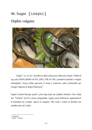 - 73 -
46. Isegni 
Orphie vulgaire
Isegni1
: sm. ml. êrf., sawalen-as akka acku,yesεa tal$a am yisegni. Yekka-d
seg uéar (SGN) (Dallet sb.763, (SN); Taïfi sb.159), yemmal-d anamek n tsegnit
tameqqrant. Assa$ yellan gar-asen d assa$ n umerwes, acku yettemcabi $er
yisegni. Qqaren-as da$en bumexyuî2
.
Isegni d aslem buyi$es $ezzif. yesεa deg te$zi sin yi$allen (lmitra). £ur-s tal$a
am ……
Tezlemt……
(uî 61), maca yemgaraden: isegni yesεa tiferrawin, aqammum-is
d amecêud am yisegni. I$es-is d azegzaw. Ma yella i wuççi ur êemlen ara
medden aîas ad t- …ççen.
1
-Akkqbayli.
2
-Delles – Aéeffun.
 
