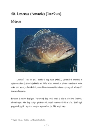- 77 -
50. Lmeεza (Amaεiz) [ə]
Mérou
Lmeεza1
: sm. nt. êrf., Yekka-d seg uéar (MΣZ), yemmal-d anamek n
uγersiw n lber ( Amaεiz) (Dallet sb.532). Ma d anamek n yisem sawalen-as akka
acku itett ayen yellan (kulci), ama d imγan ama d iγersiwen, ayen yufa ad t-yeçç
amzun d amaεiz.
Lmeεza d aslem buyiγes. Yettawev deg teγzi armi d sin n yiγallen (lmitra),
tikwal ugar. Ma deg taéeyt yezmer ad yeîîef alamma d 68 n kilu. Üenf …-agi
yegget deg yilel agrakal, anagar n gmas luq (uî 51), wagi ixuû.
1
-Tigzirt –Iflissen - Aéeffun – At Mendil (Beni Ksila).
 