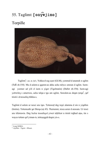 - 82 -
55. Taglimt 
Torpille
Taglimt1
: sm. nt. êrf.; Yekka-d seg uéar (GLM), yemmal-d anamek n uglim
(Taïfi sb.154). Ma d aslem-a qqaren-as akka acku talγa-s amzun d aglim. Isem-
agi yezmer ad yili d isem n yiger (Tigelmatin) (Dallet sb.154). Isem-agi
yettwile$ s umerwes, acku tal$a-s tga am uglim. Sawalen-as da$en îerqa2
, $ef
trisiti i d-tessufu$ tfekka-s.
Taglimt d aslem ur nesεi ara i$es. Tettawev deg te$zi alamma d sin n yi$allen
(lmitra). Tettemcabi $er Derqa (uî 43). Tkernenni, tesεa aεrur d aruxam. Ur tesεi
ara tiferrawin. Deg lxelεa tessufu$-d yiwet teêlilest n trisiti teohed aîas, tin s
wayes tettara $ef yiman-is, tetteûeggid da$en yis-s.
1
-Luigi SERRA.
2
-Aéeffun – Tigzirt – Iflissen.
 