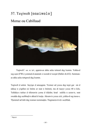 - 84 -
57. Ta$iwelt [
Morue ou Cabillaud
Ta$iwelt1
: sm. nt. êrf., qqaren-as akka acku tettazal deg lεumm. Yekka-d
seg uéar (£WL) yemmal-d anamek n wezrab d weεjal (Dallet sb.632). Semman-
as akka acku tett$awal deg lεumm.
Ta$iwelt d aslem buyi$es d ameqqran. Yezmer ad yesεu deg te$zi gar sin d
ukkué n yi$allen (si lmitra ar snat n lmitrat), ma di taéeyt yesεa 40 n kilu.
Tafekka-s teççur d tiferrawin yerna d tifôidin; krad sufella n uεrur-is, snat
swadda deg uεebbuv-is akked d tseîîa. Aksum-is yesεa zzit, yekka-d seg tassa-s.
Têemmel ad tidir deg waman isemmaven. Ttegmaren-tt-id s ucebbak.
1
-Bgayet.
 