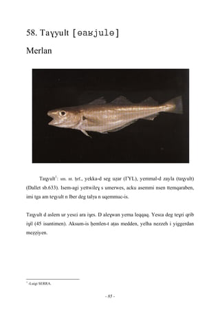 - 85 -
58. Ta$yult 
Merlan
Ta$yult1
: sm. nt. êrf., yekka-d seg uéar (£YL), yemmal-d zayla (ta$yult)
(Dallet sb.633). Isem-agi yettwile$ s umerwes, acku asemmi nsen ttemqaraben,
imi tga am te$yult n lber deg talγa n uqemmuc-is.
Ta$yult d aslem ur yesεi ara i$es. D ale$wan yerna leqqaq. Yesεa deg te$zi qrib
i$il (45 isuntimen). Aksum-is êemlen-t aîas medden, yelha nezzeh i yiggerdan
meééiyen.
1
-Luigi SERRA.
 