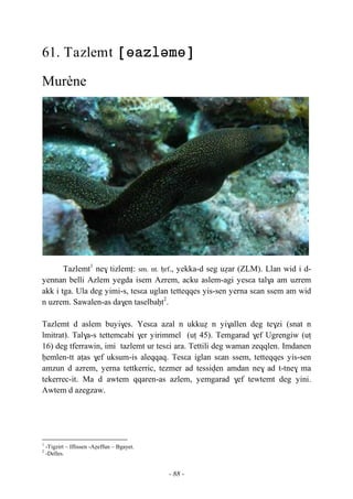 - 88 -
61. Tazlemt 
Murène
Tazlemt1
ne$ tizlemt: sm. nt. êrf., yekka-d seg uéar (ZLM). Llan wid i d-
yennan belli Azlem yegda isem Azrem, acku aslem-agi yesεa tal$a am uzrem
akk i tga. Ula deg yimi-s, tesεa uglan tetteqqes yis-sen yerna sεan ssem am wid
n uzrem. Sawalen-as da$en taselbaêt2
.
Tazlemt d aslem buyi$es. Yesεa azal n ukkué n yi$allen deg te$zi (snat n
lmitrat). Tal$a-s tettemcabi $er yirimmel (uî 45). Temgarad $ef Ugrengiw (uî
16) deg tferrawin, imi tazlemt ur tesεi ara. Tettili deg waman zeqqlen. Imdanen
êemlen-tt aîas $ef uksum-is aleqqaq. Tesεa iglan sεan ssem, tetteqqes yis-sen
amzun d azrem, yerna tettkerric, tezmer ad tessiven amdan ne$ ad t-tne$ ma
tekerrec-it. Ma d awtem qqaren-as azlem, yemgarad $ef tewtemt deg yini.
Awtem d azegzaw.
1
-Tigzirt – Iflissen -Aéeffun – Bgayet.
2
-Delles.
 
