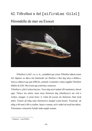 - 89 -
62. Tifirellest n ilel LGə
Hirondelle de mer ou Exocet
Tifirellest n yilel1
: sm. nt. ds., yesdukkel gar yisem Tifirellest akked yisem
ilel. Qqaren- as akk-a imi tettemcabi γer tfirellest n lber deg talγa n tfekka-s.
Isem-a yekka-d seg uéar (FRLS), yemmal- d anamek n ufôux (agviv) Tifirellest
(Dallet sb.224). Ma d isem-agi yettwile$ s umerwes.
Tifirellest n yilel d aslem buyiγes. Tesεa deg teγzi tardast (20 isuntimen), tikwal
ugar. Talγa-s am uslem, maca tesεa iferrawen deg yiberdiyen-is am wid n
wefôux, meqqer- it yerna hraw- it. Llant tid yesεan sin iferrawen, llant tiyiv
ôebεa. Tezmer ad tafeg acku iferrawen-is meqqrit yerna hrawit. Tessawav ad
tafeg si 60 armi d 80 n yiγallen beôôa n waman, ad d- terêel ad tuγal kan akken.
Tettεummu s temγawla.Tettidir anda zeqqlit waman.
1
-Akkqbayli – Luigi SERRA.
 