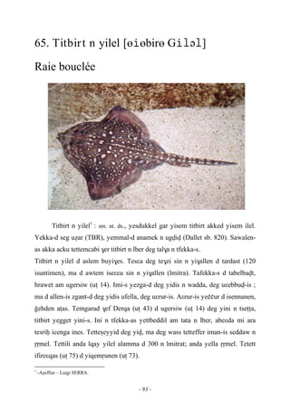 - 93 -
65. Titbirt n yilel [өөbirө Gə]
Raie bouclée
Titbirt n yilel1
: sm. nt. ds., yesdukkel gar yisem titbirt akked yisem ilel.
Yekka-d seg uéar (TBR), yemmal-d anamek n ugviv (Dallet sb. 820). Sawalen-
as akka acku tettemcabi $er titbirt n lber deg tal$a n tfekka-s.
Titbirt n yilel d aslem buyi$es. Tesεa deg te$zi sin n yi$allen d tardast (120
isuntimen), ma d awtem iseεεu sin n yi$allen (lmitra). Tafekka-s d tabelbavt,
hrawet am ugersiw (uî 14). Imi-s yezga-d deg yidis n wadda, deg uεebbuv-is ;
ma d allen-is zgant-d deg yidis ufella, deg uεrur-is. Aεrur-is yeççur d isennanen,
oehden aîas. Temgarad $ef Derqa (uî 43) d ugersiw (uî 14) deg yini n tseîîa,
titbirt yegget yini-s. Ini n tfekka-as yettbeddil am tata n lber, abeεda mi ara
tesriê icenga ines. Tetteûeyyid deg yiv, ma deg wass tetteffer iman-is seddaw n
ôômel. Tettili anda lqay yilel alamma d 300 n lmitrat; anda yella ôômel. Tetett
ifireεqas (uî 75) d yiqemôunen (uî 73).
1
-Aéeffun – Luigi SERRA.
 