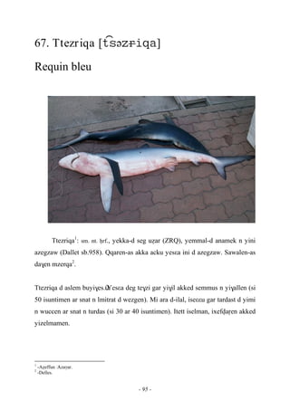 - 95 -
67. Ttezriqa [ə]
Requin bleu
Ttezriqa1
: sm. nt. êrf., yekka-d seg uéar (ZRQ), yemmal-d anamek n yini
azegzaw (Dallet sb.958). Qqaren-as akka acku yesεa ini d azegzaw. Sawalen-as
da$en mzerqa2
.
Ttezriqa d aslem buyi$es.ùùùùYesεa deg te$zi gar yi$il akked semmus n yi$allen (si
50 isuntimen ar snat n lmitrat d wezgen). Mi ara d-ilal, iseεεu gar tardast d yimi
n wuccen ar snat n turdas (si 30 ar 40 isuntimen). Itett iselman, ixefvaôen akked
yizelmamen.
1
-Aéeffun …Azaγar.
2
-Delles.
 