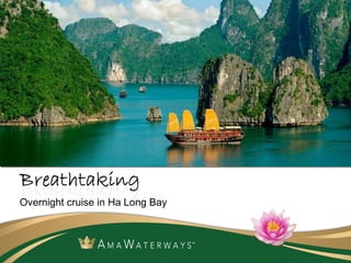 Overnight cruise in Ha Long Bay 