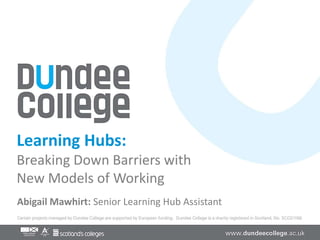 Learning Hubs:
Breaking Down Barriers with
New Models of Working
Abigail Mawhirt: Senior Learning Hub Assistant
 