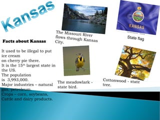 Facts about Kansas It used to be illegal to put ice cream  on cherry pie there. It is the 15 th  largest state in the US. The population  is  3,993,000. Major industries – natural gas, petroleum. Crops – corn, soybeans, Cattle and dairy products. Cottonwood - state tree. The Missouri River flows through Kansas City. The meadowlark -state bird. State flag 