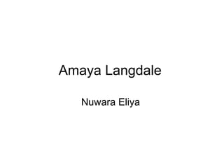Amaya Langdale  Nuwara Eliya  
