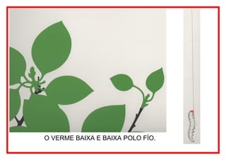 O VERME BAIXA E BAIXA POLO FÍO.
 