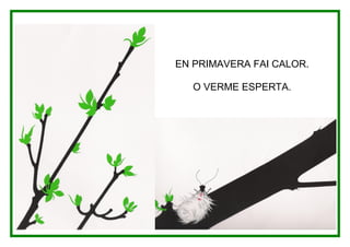 EN PRIMAVERA FAI CALOR.

   O VERME ESPERTA.
 