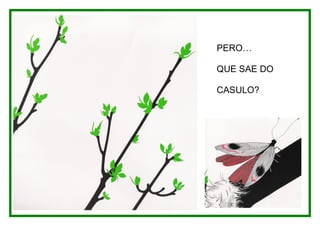 PERO…

QUE SAE DO

CASULO?
 