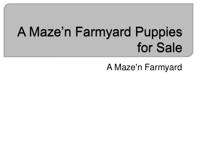 A maze n farmyard coupons