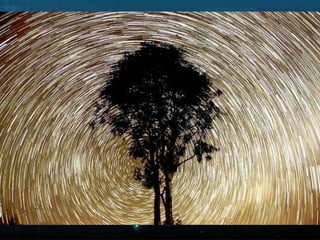 Amaziing stargazer 2012