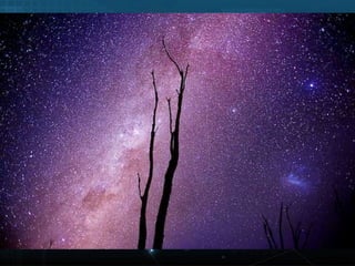 Amaziing stargazer 2012