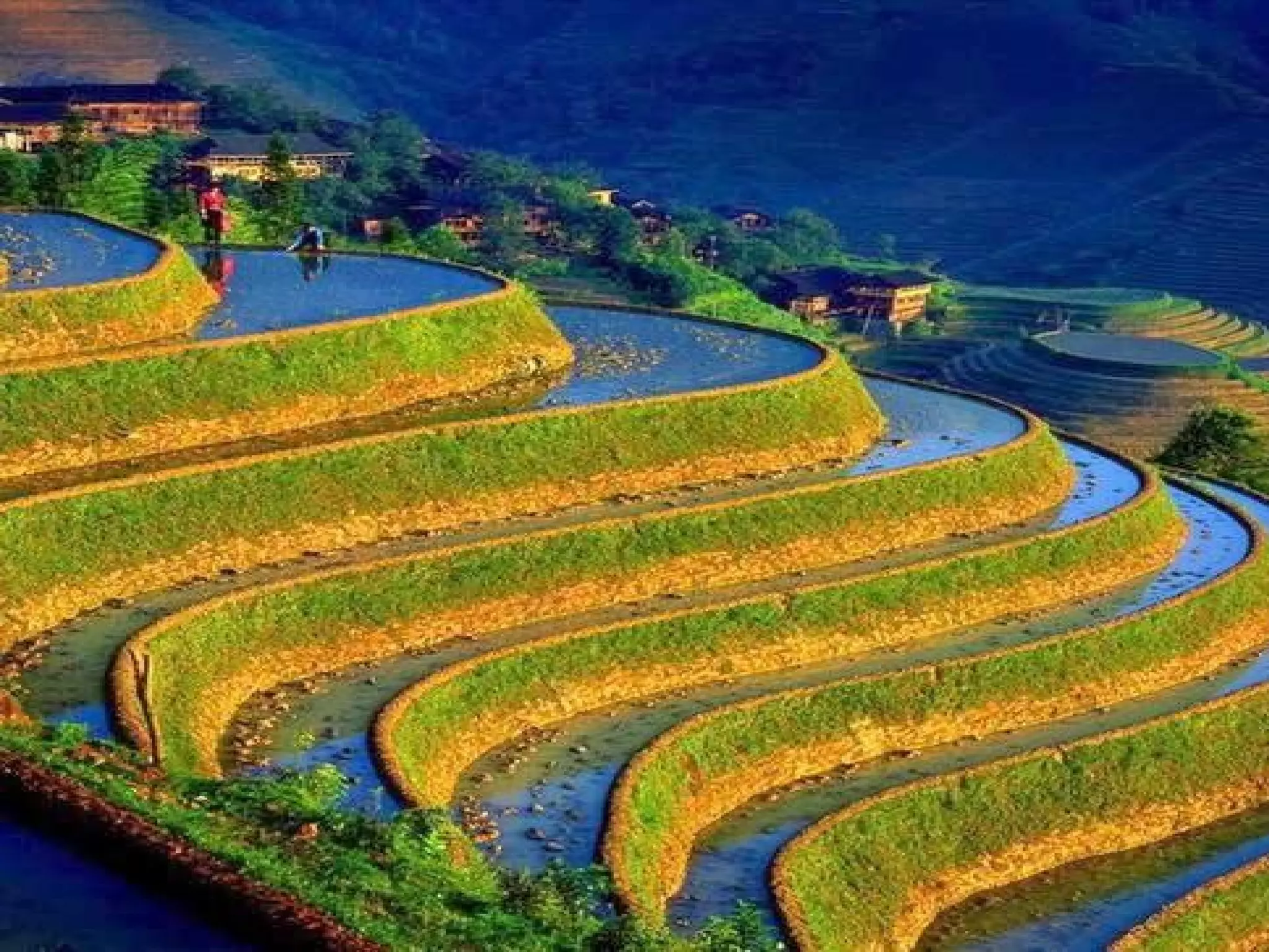 Real Life Give an example or real life anecdote Sympathize with the audience’s situation if appropriate