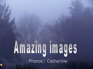 Photos : Catherine Amazing images 