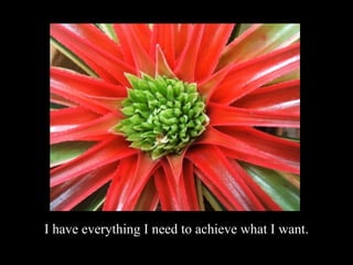 I have everything I need to achieve what I want.
 