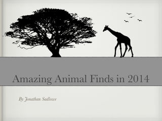 By Jonathan Sadlowe
Amazing Animal Finds in 2014
 