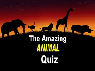 The Amazing ANIMAL Quiz 