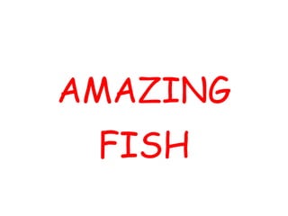 AMAZING
FISH
 