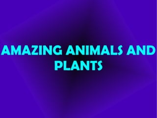 AMAZING ANIMALS AND
PLANTS
 