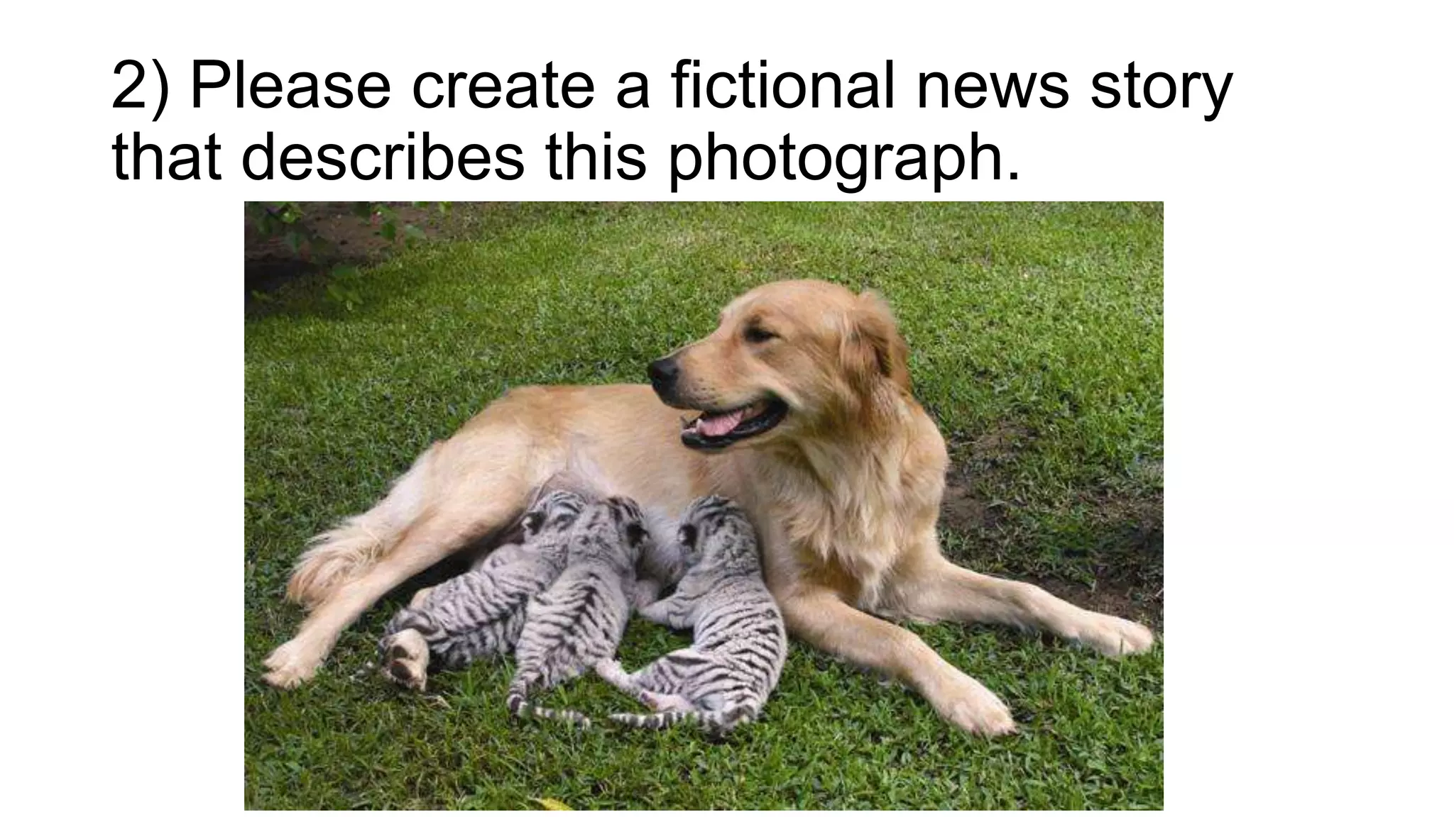2) Please create a fictional news story
that describes this photograph.