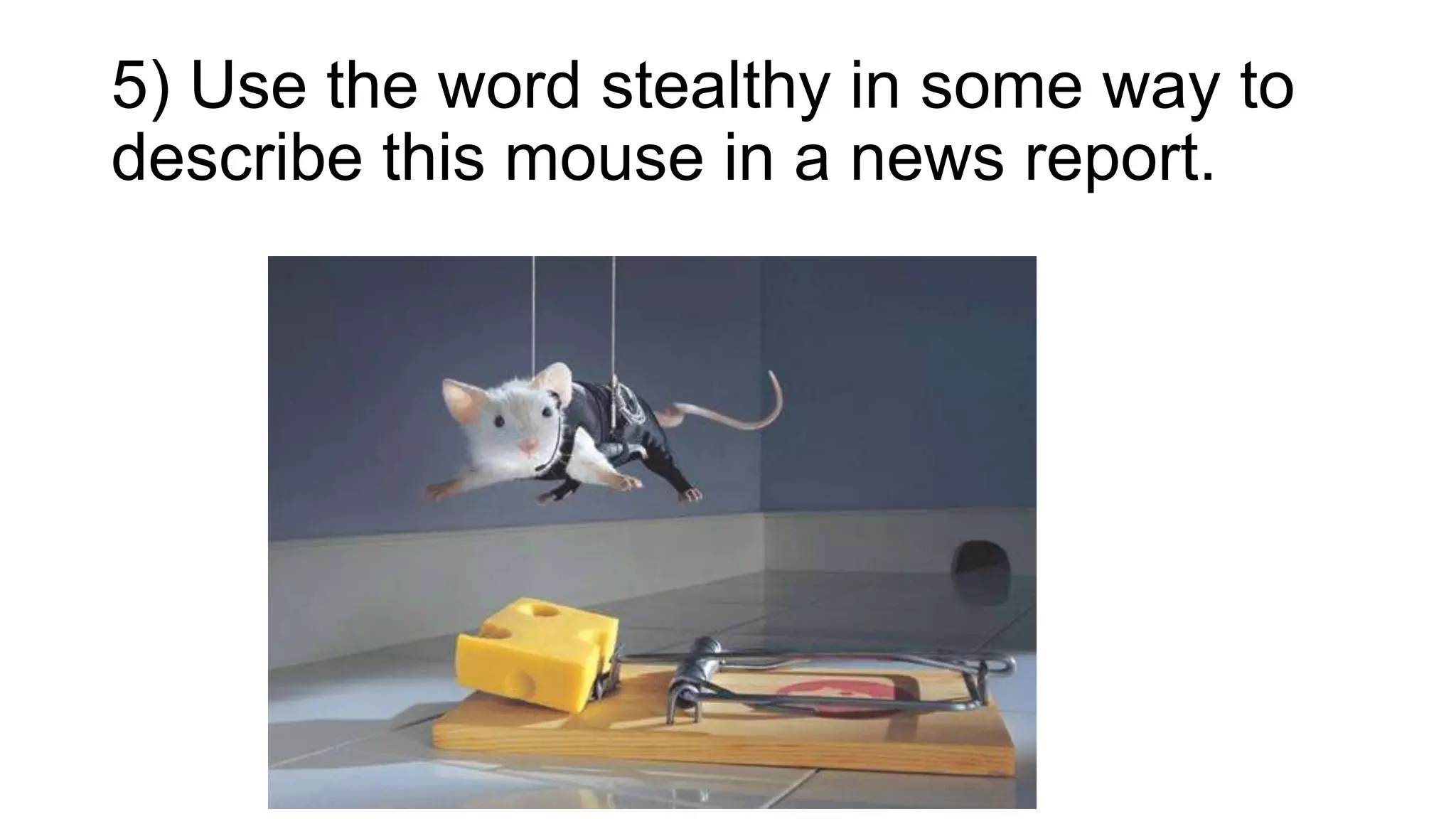 5) Use the word stealthy in some way to
describe this mouse in a news report.