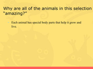 Amazing animals comprehension questions | PPTX