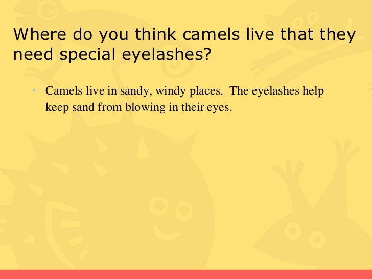 Amazing animals comprehension questions