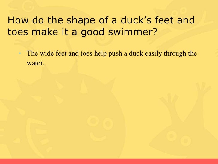 Amazing animals comprehension questions