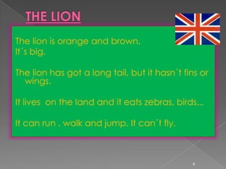 The lion is orange and brown.
It´s big.

The lion has got a long tail, but it hasn´t fins or
  wings.

It lives on the land and it eats zebras, birds...

It can run , walk and jump. It can´t fly.



                                              4
 