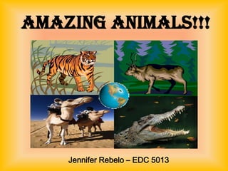 Amazing Animals!!!




    Jennifer Rebelo – EDC 5013
 