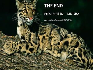 THE ENDPresented by : DINISHAwww.slideshare.net/DINISHA