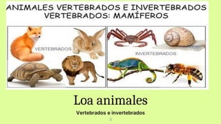 Loa animales
Vertebrados e invertebrados
3
 