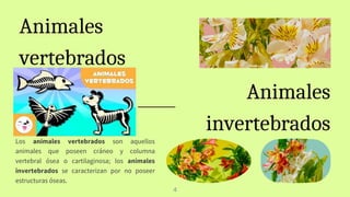 Animales
invertebrados
Los animales vertebrados son aquellos
animales que poseen cráneo y columna
vertebral ósea o cartilaginosa; los animales
invertebrados se caracterizan por no poseer
estructuras óseas.
Animales
vertebrados
4
 