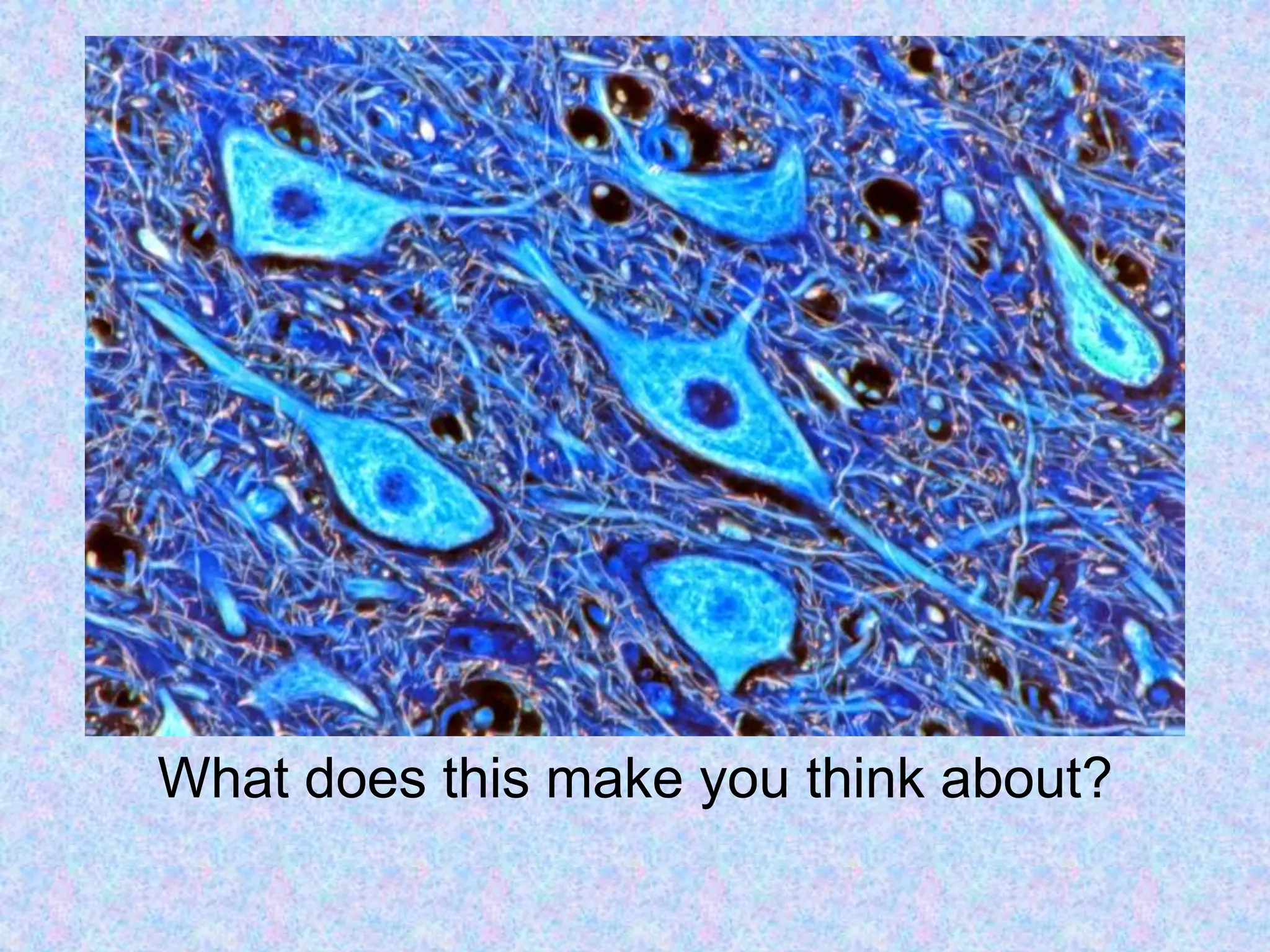 What does this make you think about?