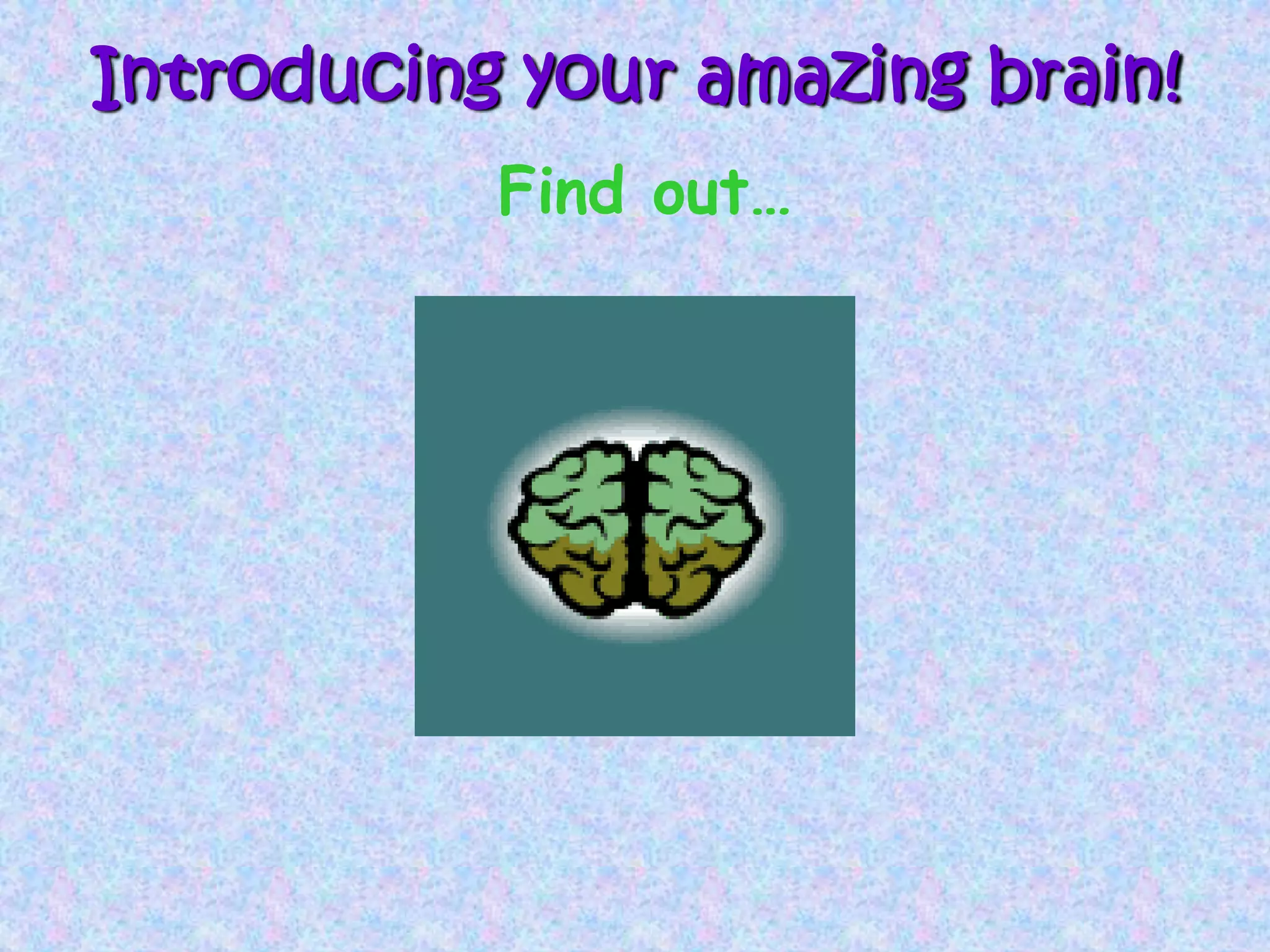 Introducing your amazing brain!
Find out…