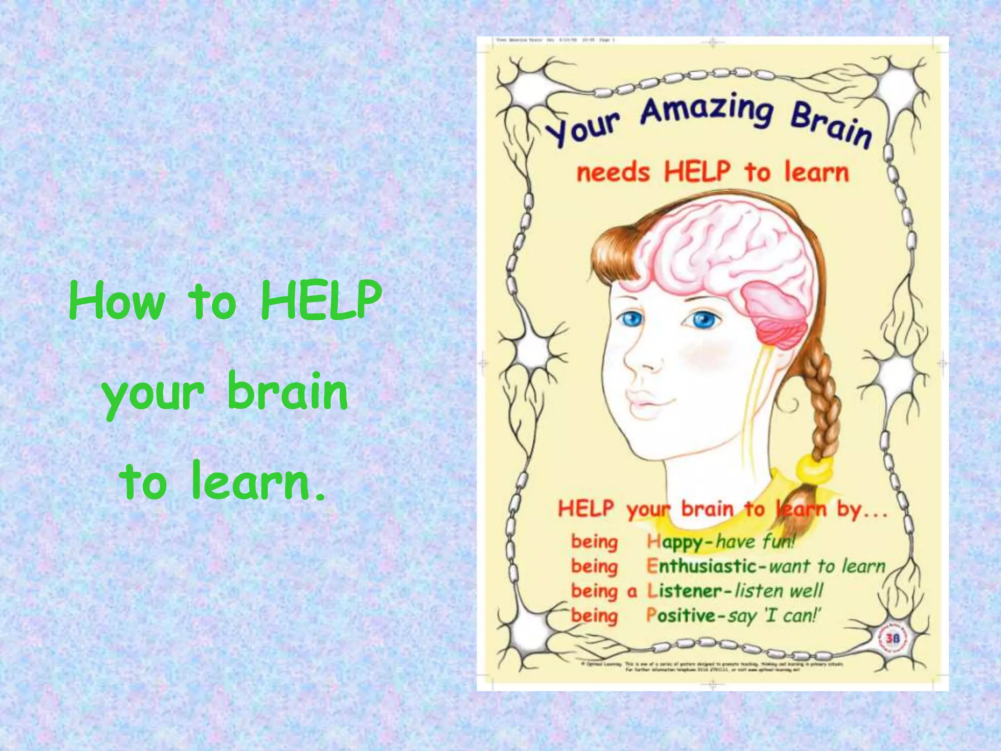 How to HELP
your brain
to learn.